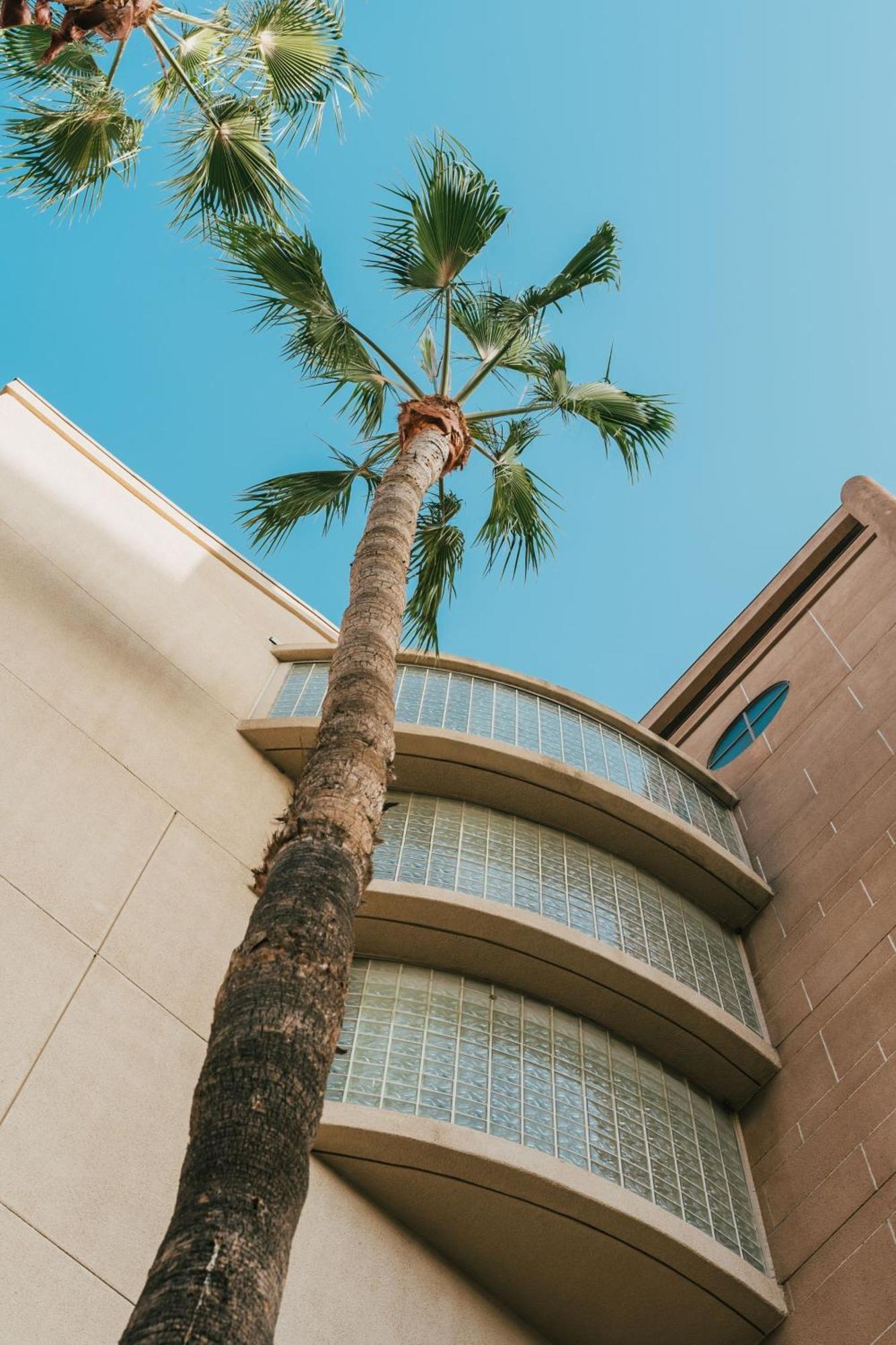 Courtyard By Marriott Los Angeles Lax / Century Boulevard Exterior foto